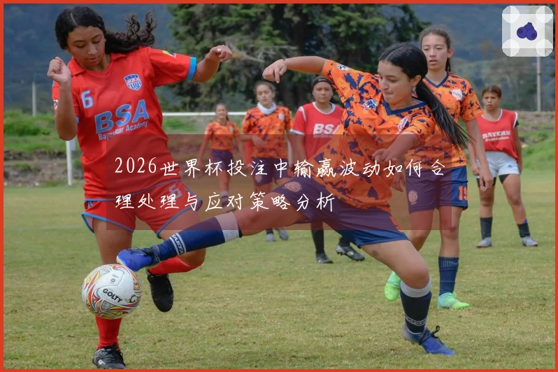 2026世界杯投注中输赢波动如何合理处理与应对策略分析